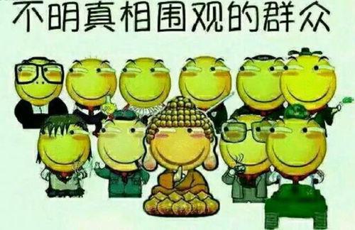 吃瓜群众指什么动物,揭秘猴子的社交智慧